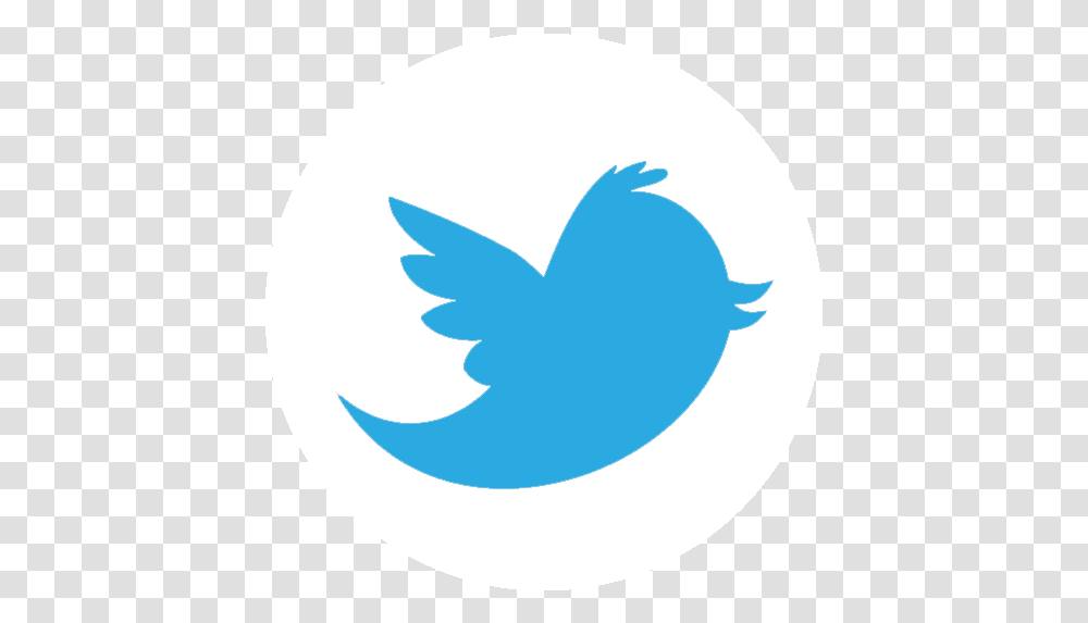 Twitter Green Twitter, Logo, Symbol, Trademark, Shark Transparent Png