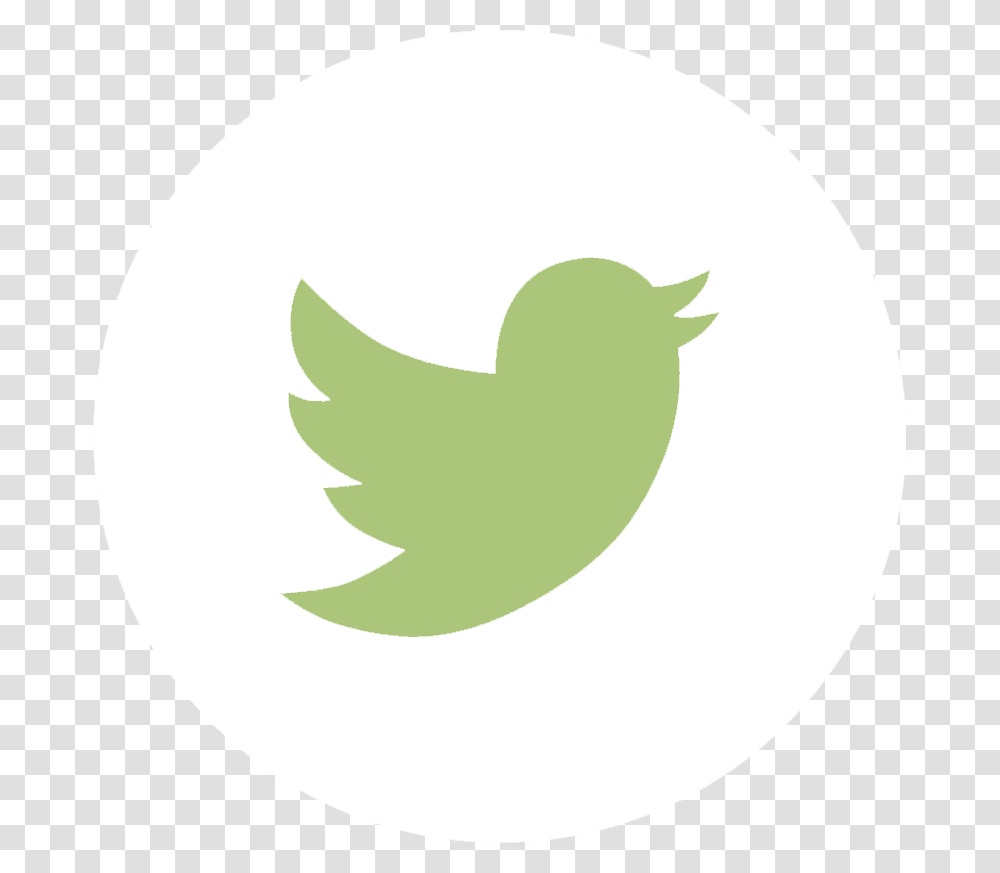 Twitter Grey Logo Cartoons Twitter Logo Grey, Trademark, Bird, Animal Transparent Png