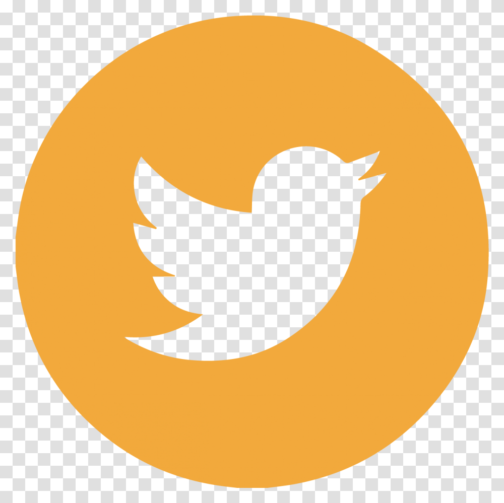 Twitter Icon Aesthetic Yellow Clipart Maroon Twitter Icon, Halloween, Bird, Animal, Cat Transparent Png