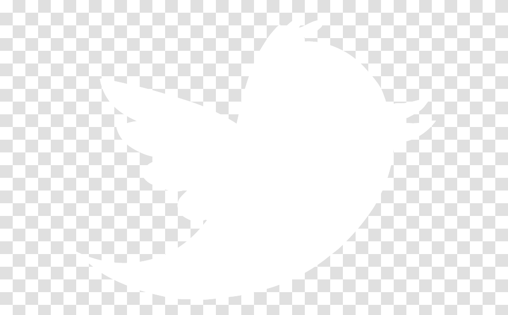 Twitter Icon Background Twitter Black And White, Animal, Bird, Dove, Pigeon Transparent Png