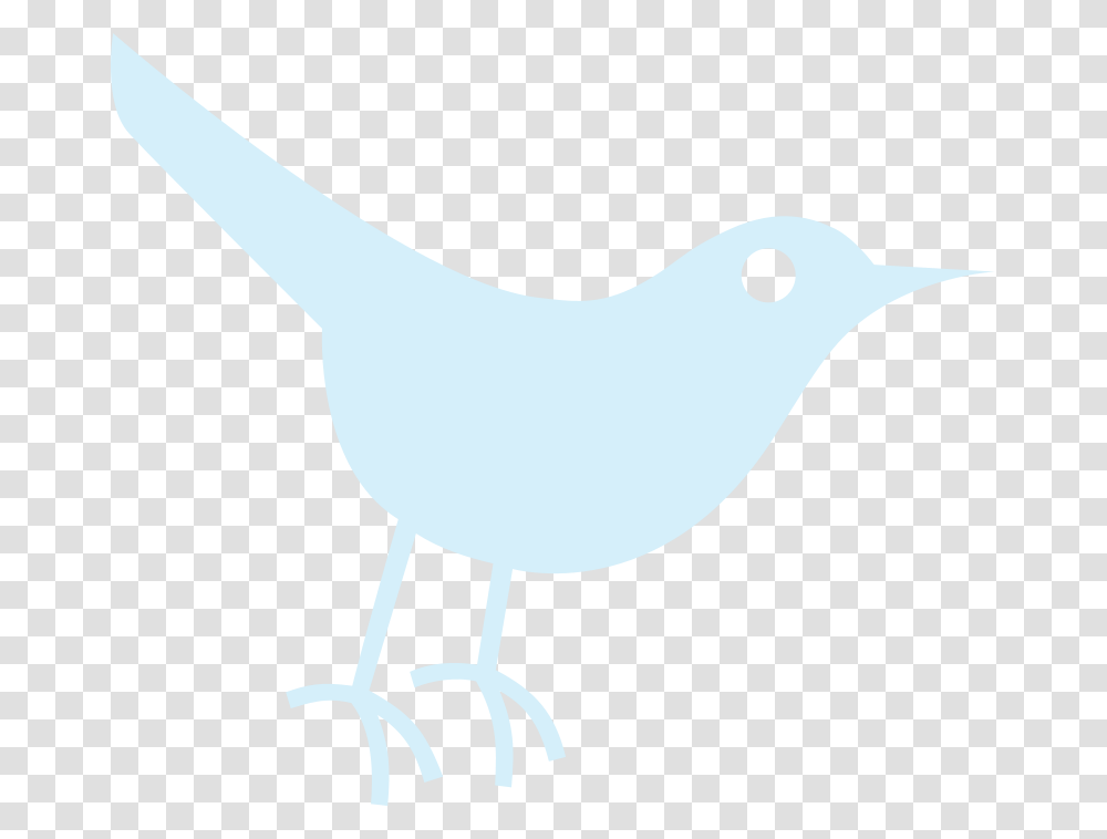 Twitter Icon Bird Vector Clipart Twitter Bird Icon, Animal, Canary Transparent Png