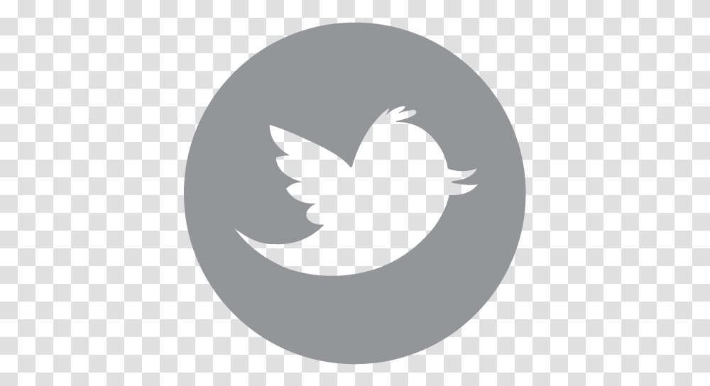 Twitter Icon Black Svg, Bird, Animal, Logo Transparent Png
