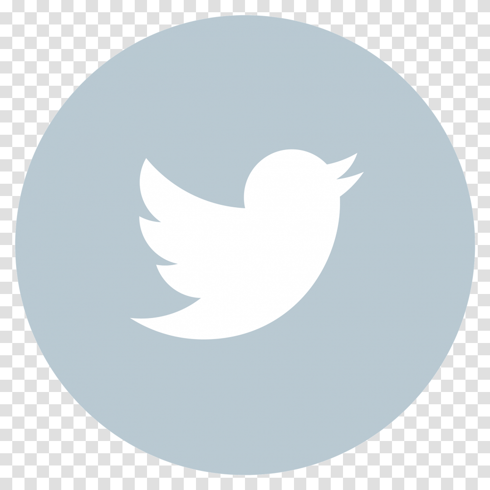 Twitter Icon Circle Linkedin Icon Social Media Icons Circle Red Twitter Logo, Sphere, Moon, Outdoors, Nature Transparent Png