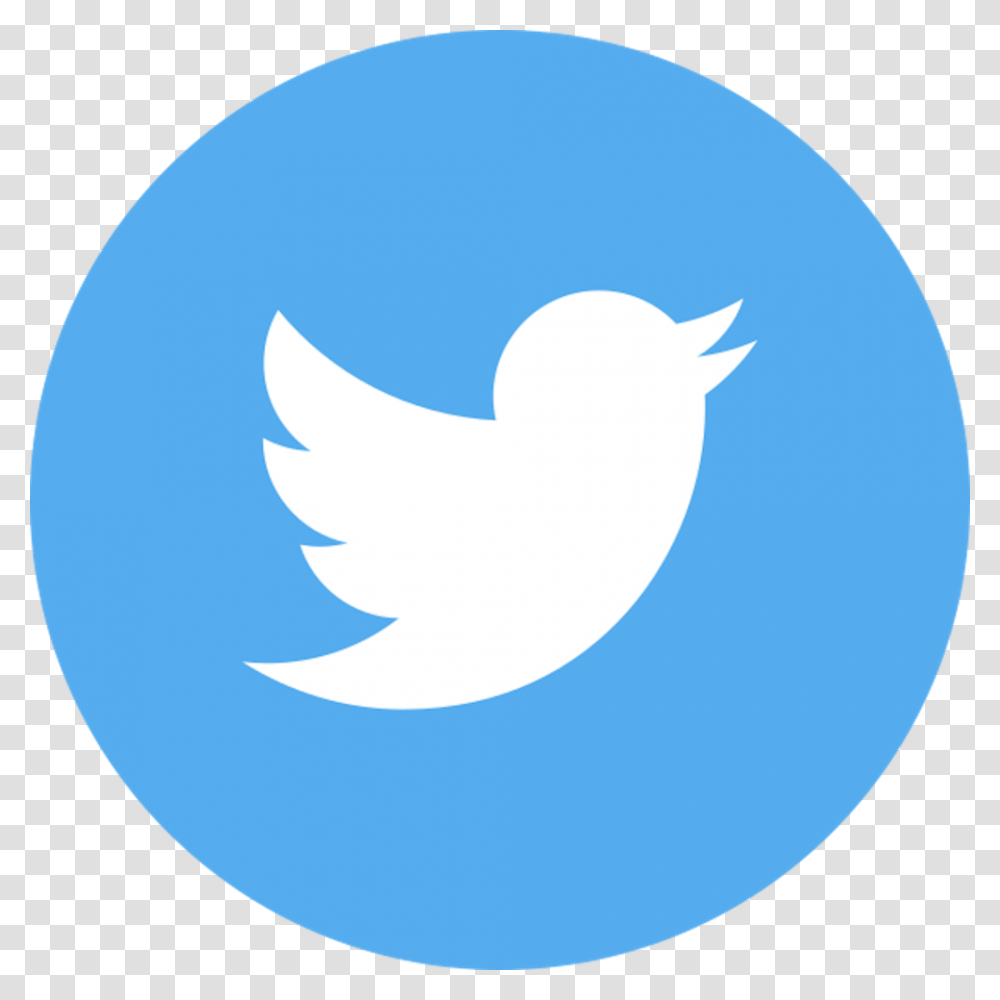 Twitter Icon For Website Barka Format Twitter Logo, Sphere, Animal, Bird, Symbol Transparent Png