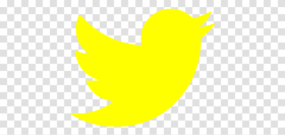 Twitter Icon Gold Twitter Logo, Text, Food, Animal, Bird Transparent Png