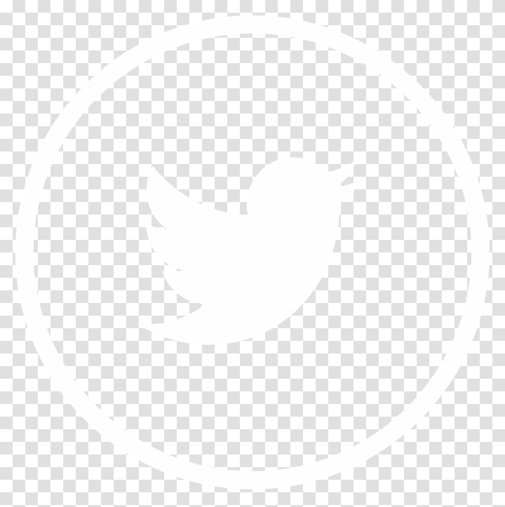 Twitter Icon Gray Circle Twitter Rounded Icon Logo Trademark Painting Transparent Png Pngset Com