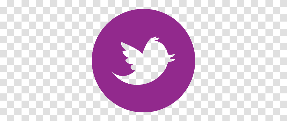 Twitter Icon Grey Round Twitter Logo For Website, Symbol, Trademark, Bird, Animal Transparent Png