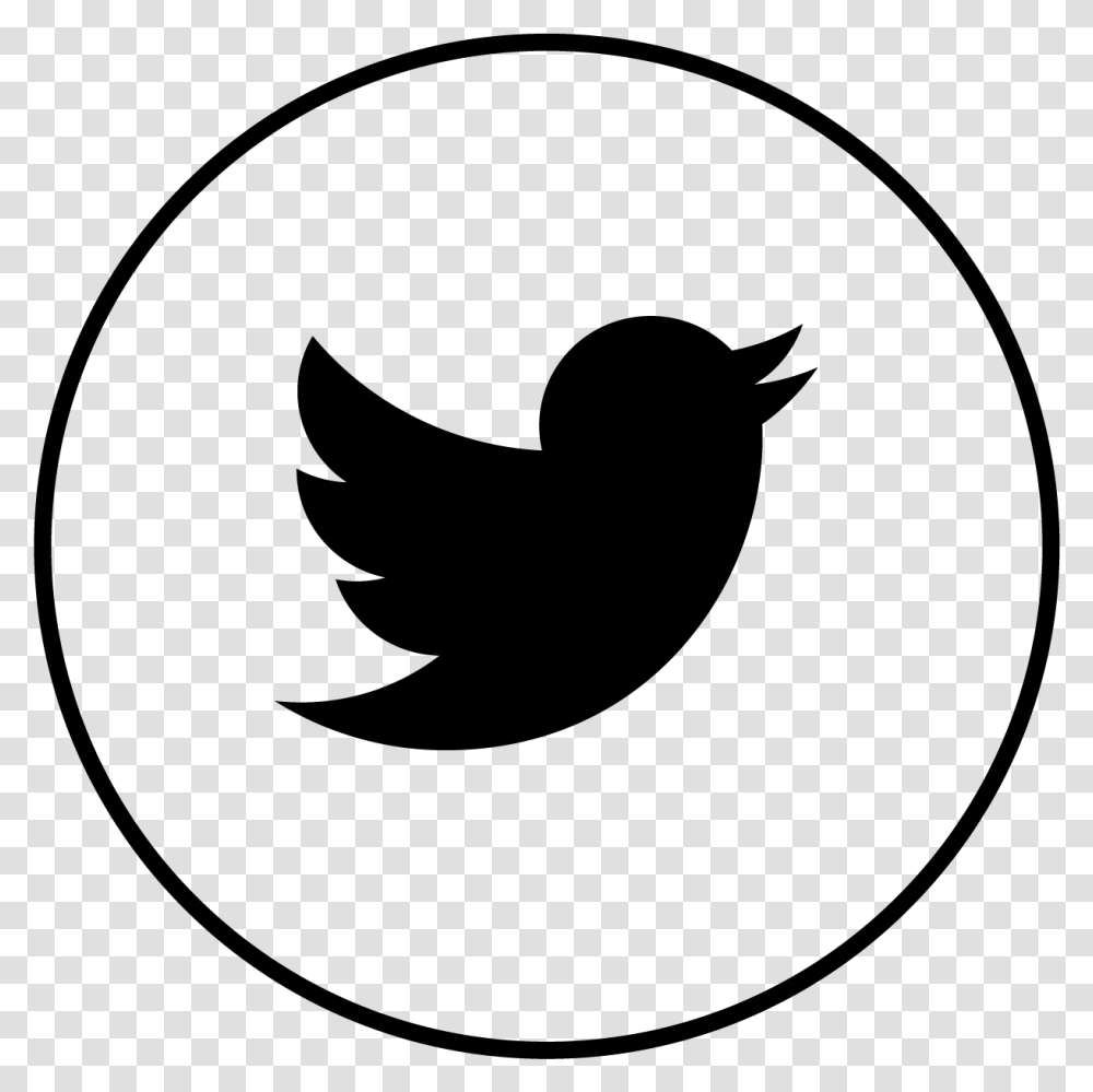 Gray Twitter Icon Concrete Transparent Png Pngset Com