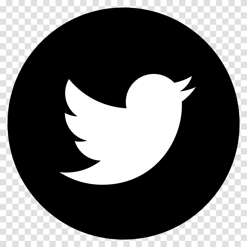 Twitter Icon Logo Bw Twitter, Silhouette, Stencil, Symbol, Bird Transparent Png