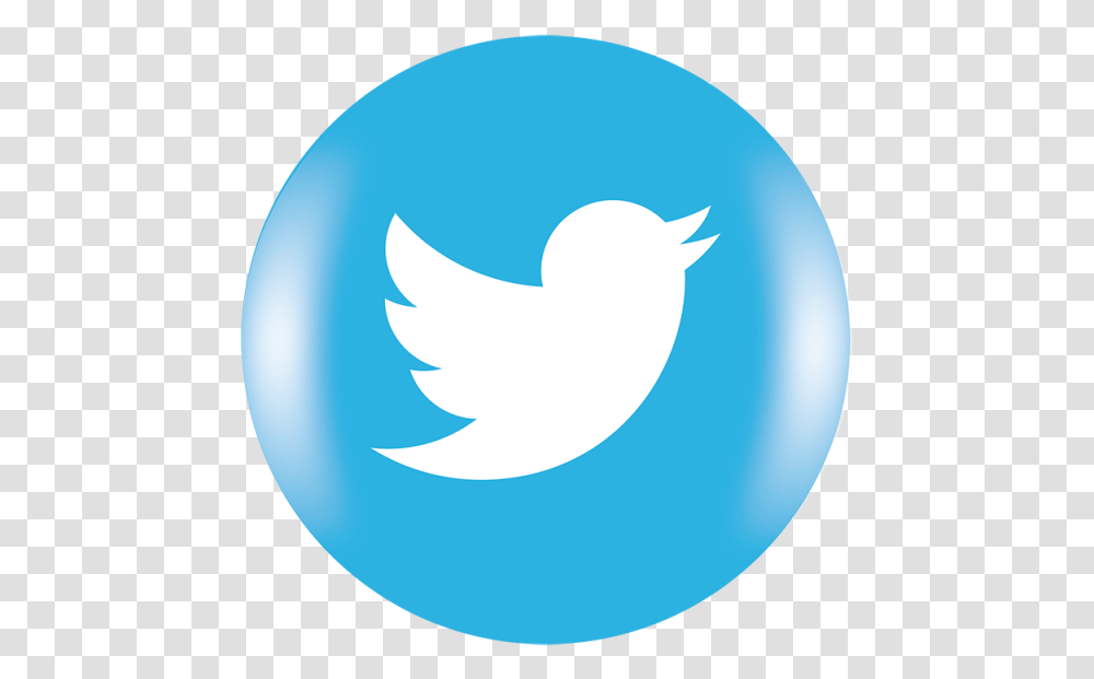 Twitter Icon Logo Social Media Icon And Vector Twitter Logo Square, Ball, Balloon, Sphere Transparent Png