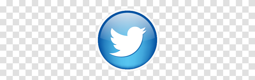 Twitter Icon, Logo, Trademark, Badge Transparent Png