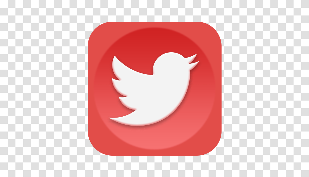 Twitter Icon, Logo, Trademark, Plant Transparent Png