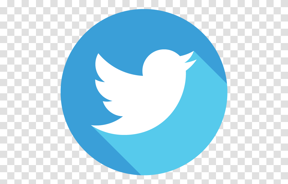 Twitter Icon, Logo, Trademark, Shark Transparent Png