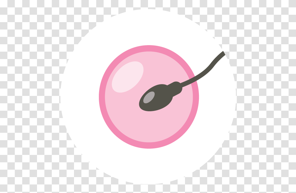 Twitter Icon Pink Cartoon Jingfm Circle, Electronics, Computer, Hardware, Mouse Transparent Png