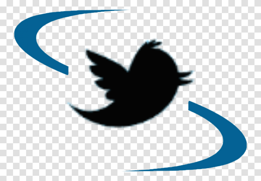 Twitter Icon Scumc Red Twitter Bird, Animal, Outdoors, Art, Mammal Transparent Png