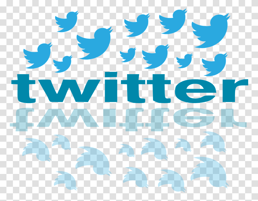 Twitter Icon Symbol Social Media Internet Network Twitter Birds, Label, Poster, Logo Transparent Png