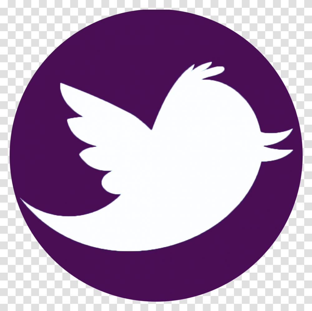 Twitter Icon Thumbgal Social Media Icons Twitter, Symbol, Heart, Logo, Trademark Transparent Png