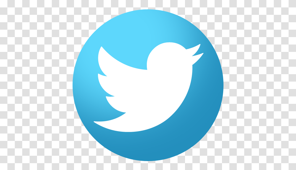 Twitter Icon Twitter Logo Background, Symbol, Shark, Fish, Animal Transparent Png