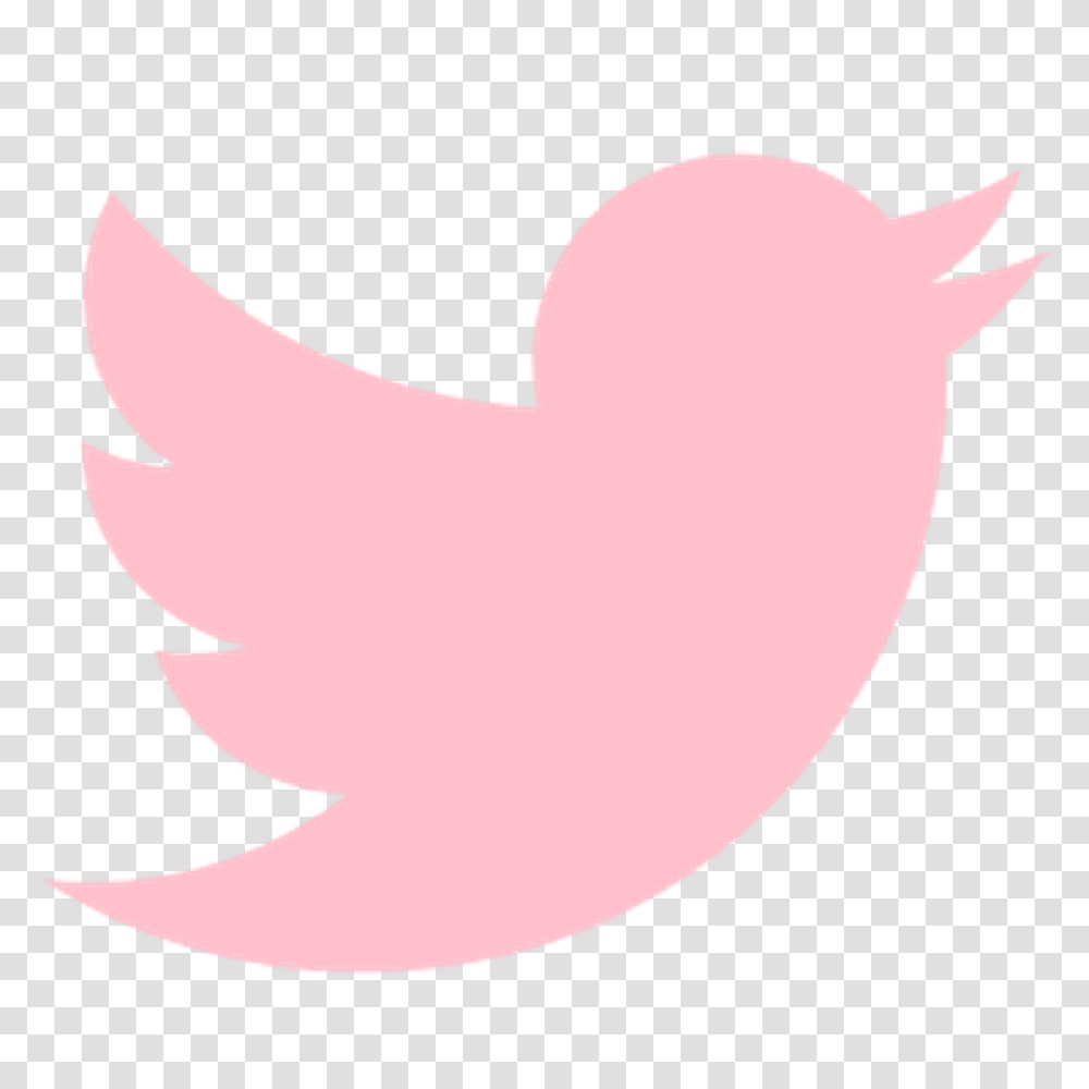 Twitter Icon Vector Free Pink Twitter Logo, Mouth, Lip, Stomach, Heart Transparent Png