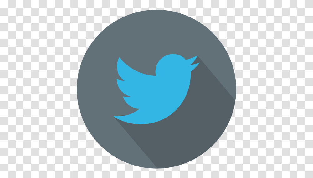 Twitter Icon Vector Free Twitter Logo, Animal, Bird, Symbol, Text Transparent Png