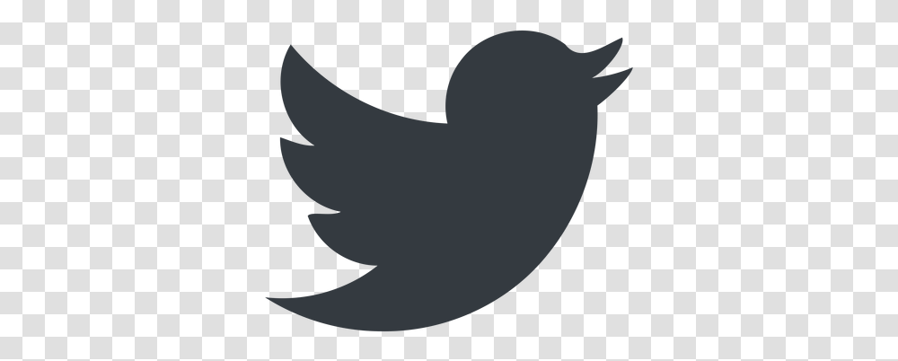 Twitter Icon Vector Icons Black Twitter Icon Background, Silhouette, Outdoors, Animal, Nature Transparent Png