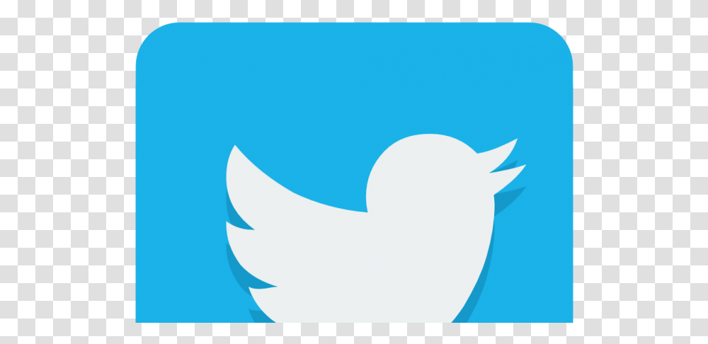 Twitter Icon Vector, Shark, Animal, Bird, Outdoors Transparent Png