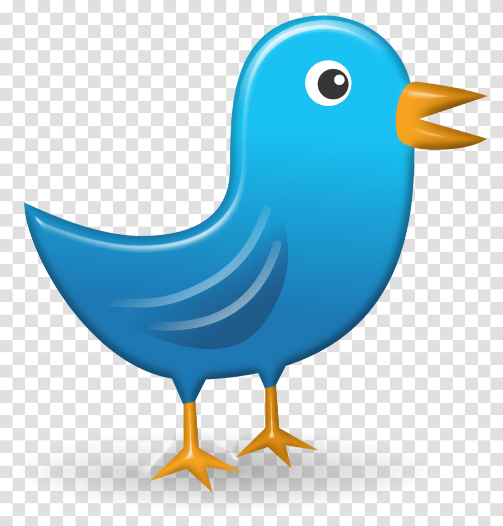Twitter Icon Web Network Bird Image Bird Tweet, Animal, Beak Transparent Png