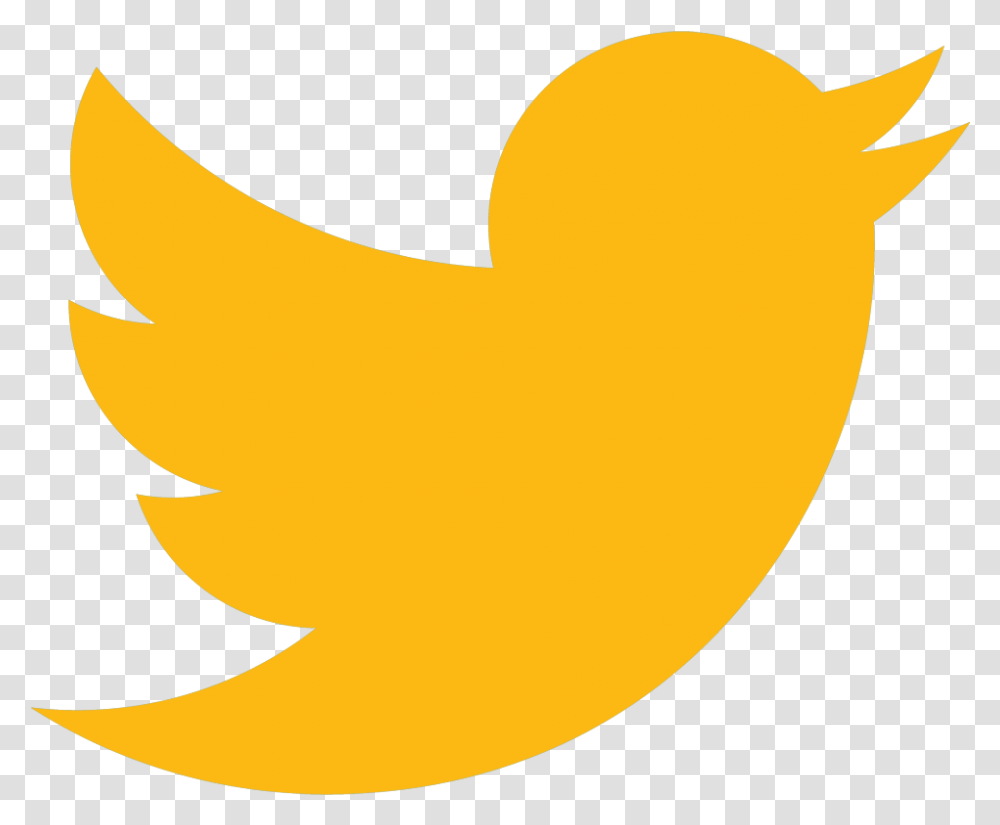Twitter Individual Social Media Logos Full Size Orange Twitter Logo, Bird, Animal, Food Transparent Png