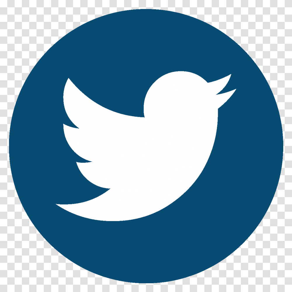Twitter Logo Aesthetic Clipart Social Media Single Icons, Symbol, Animal, Shark, Fish Transparent Png