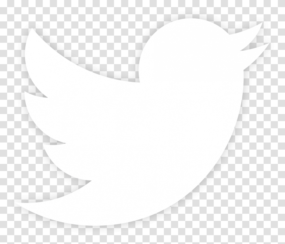 Twitter Logo Background Background Twitter Logo White, Stencil, Shark, Sea Life, Fish Transparent Png
