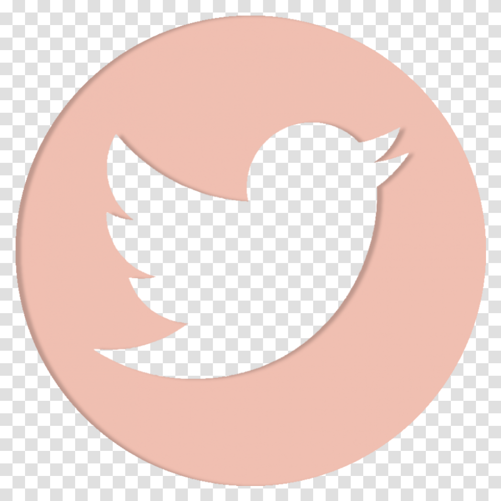 Twitter Logo Background Circle Background Twitter Logo, Trademark, Cat Transparent Png