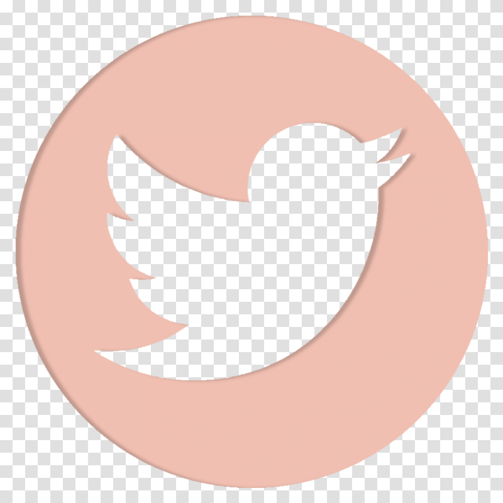 Twitter Logo Background Circle Background Twitter Logo Trademark Cat Transparent Png Pngset Com