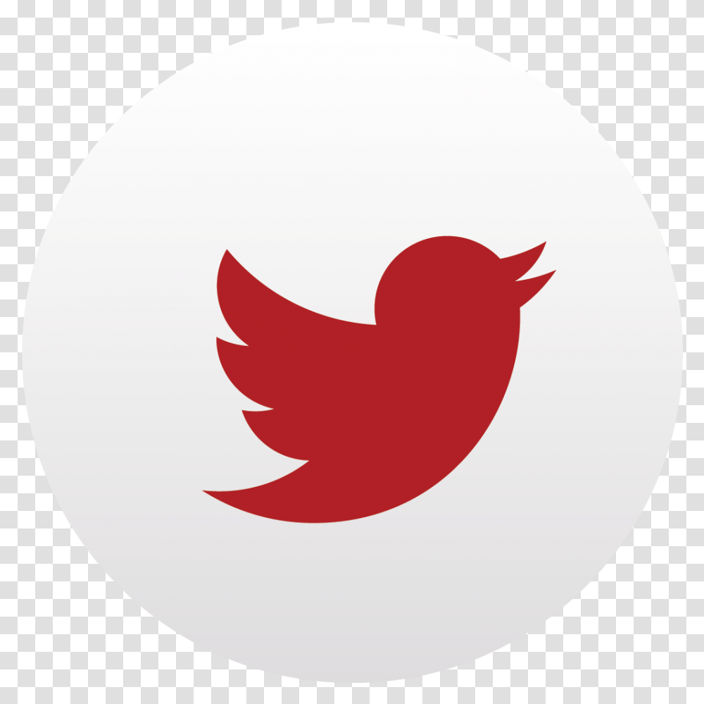 Twitter Logo Background Red Twitter Logo, Trademark, Bird, Animal Transparent Png