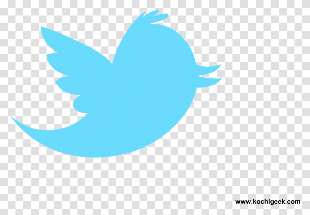 Twitter Logo Background Tweetdeck Logo, Animal, Bird, Symbol, Shark Transparent Png