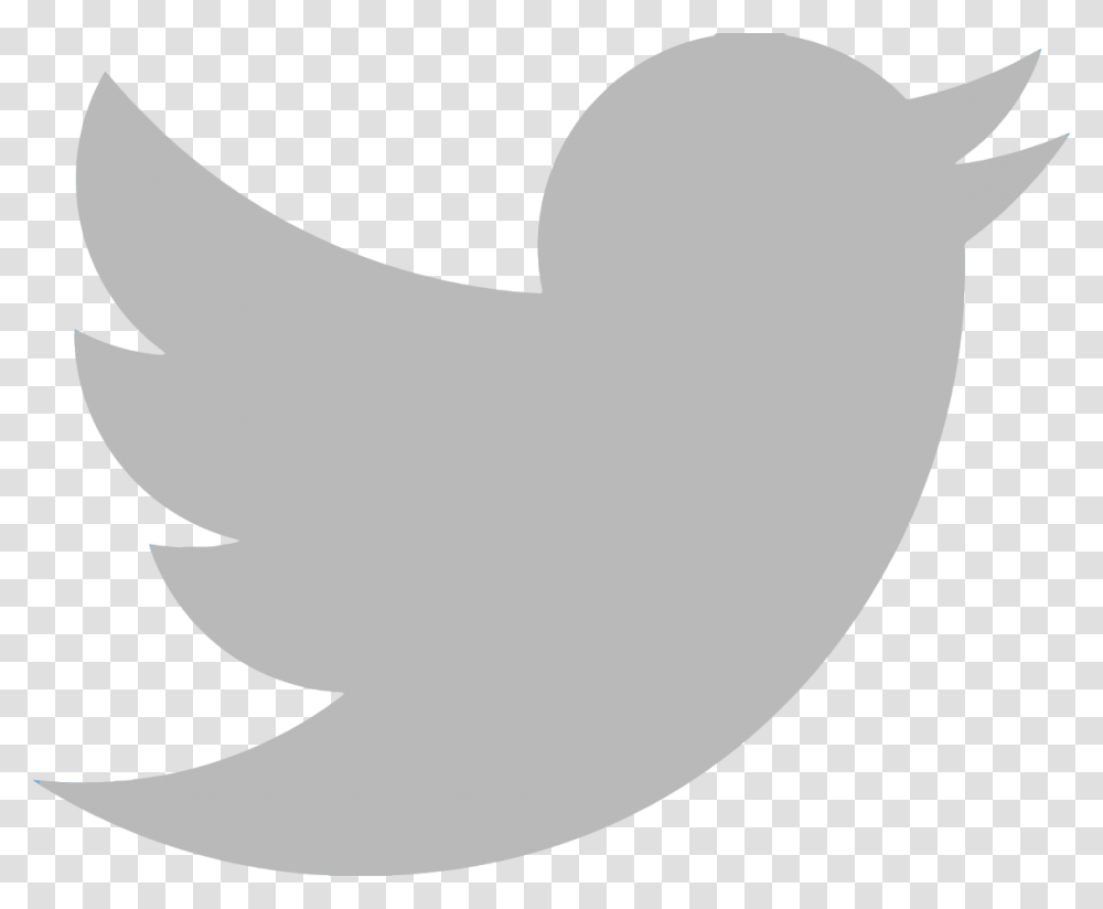 Twitter Logo Background Twitter Grey Logo, Label, Text, Silhouette, Sticker Transparent Png