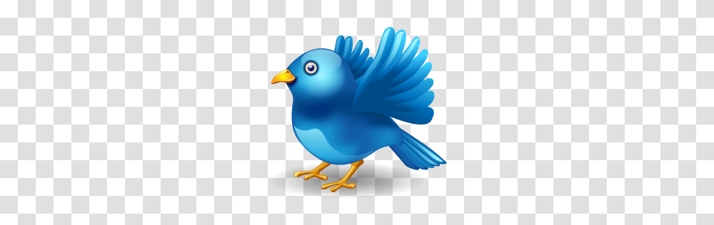 Twitter, Logo, Bird, Animal, Canary Transparent Png