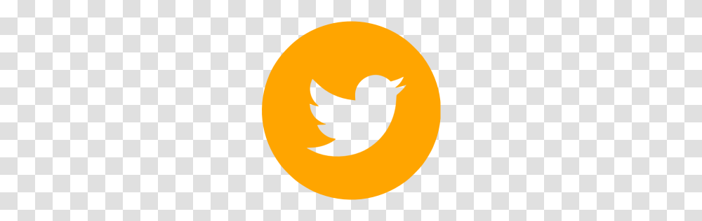 Twitter, Logo, Bird, Animal, Plant Transparent Png
