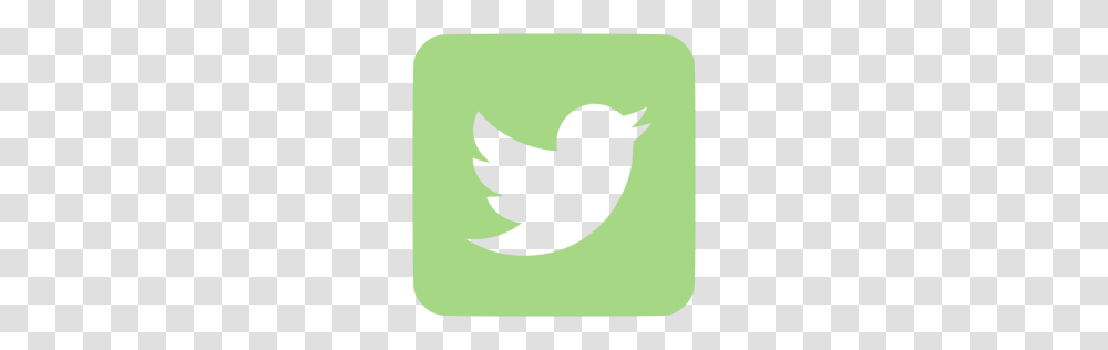 Twitter, Logo, Bird, Animal Transparent Png