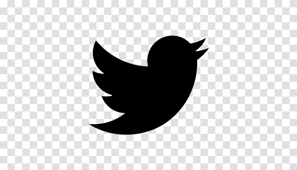 Twitter Logo Black And White Calibration Brewery Handcrafted, Silhouette, Bird, Animal Transparent Png