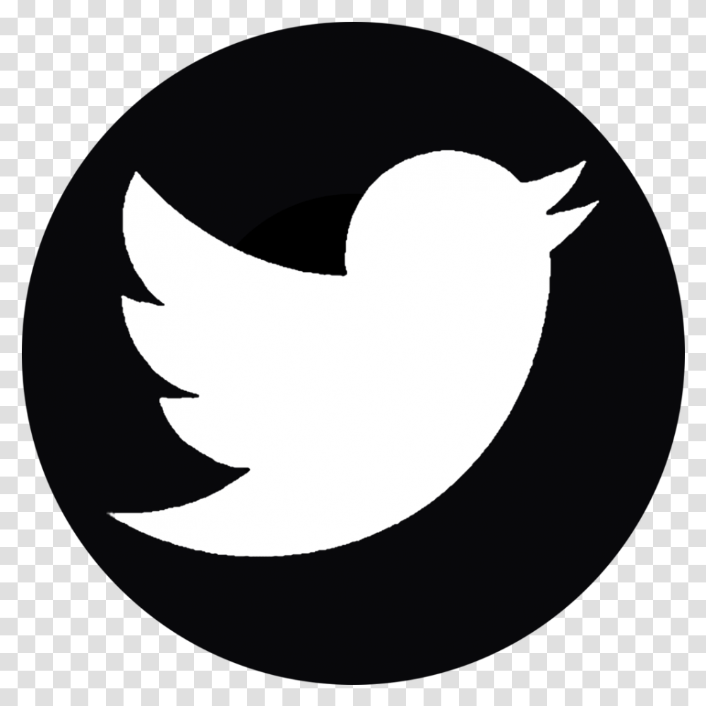 Twitter Logo Black Black Twitter Logo, Symbol, Stencil, Animal, Bird Transparent Png