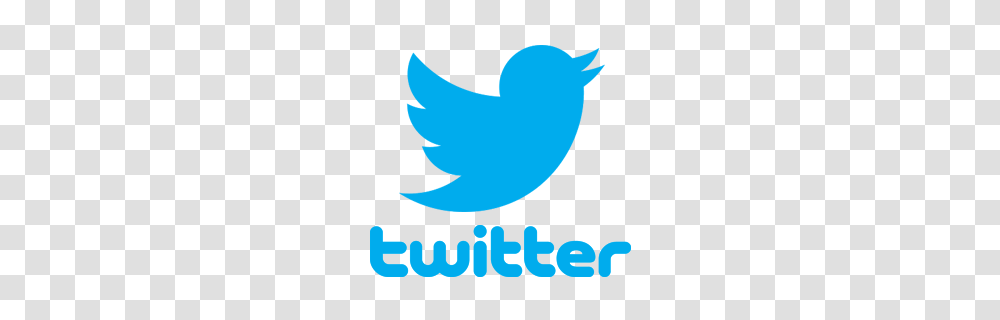 Twitter Logo, Business Card, Paper, Plot Transparent Png