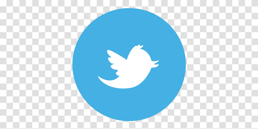 Twitter Logo Circle 2 Image Personal And Social Capability, Moon, Astronomy, Outdoors, Nature Transparent Png