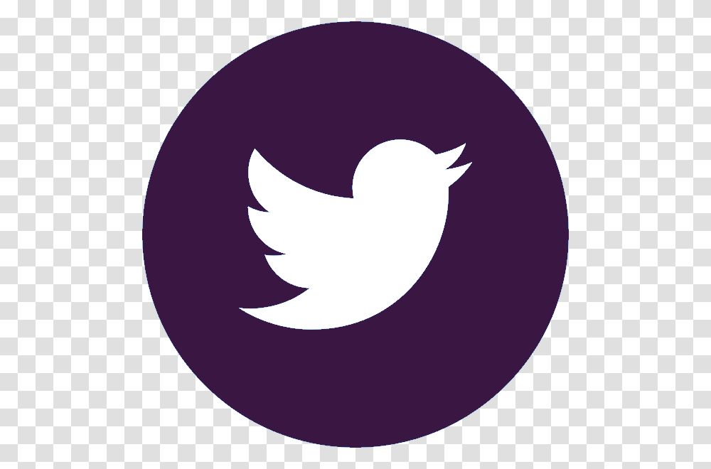 Twitter Logo Final, Trademark, Bird, Animal Transparent Png