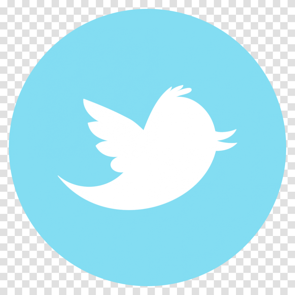 Twitter Logo For Youtube Download Social Media Icons Twitter, Shark, Animal Transparent Png