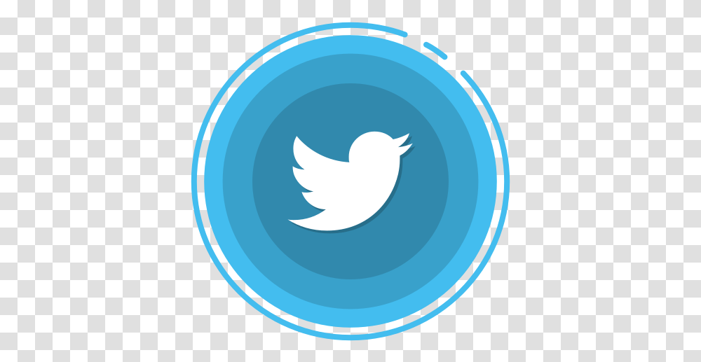 Twitter Logo Full Hd, Animal, Bird, Cat Transparent Png