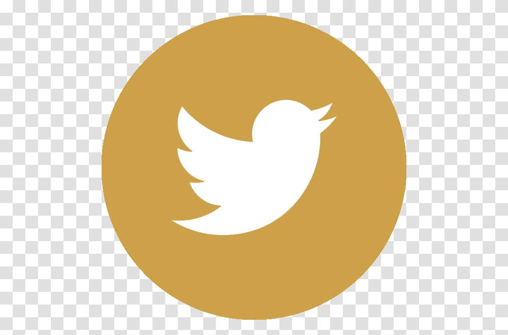 Twitter Logo Gold, Outdoors, Seed, Grain Transparent Png