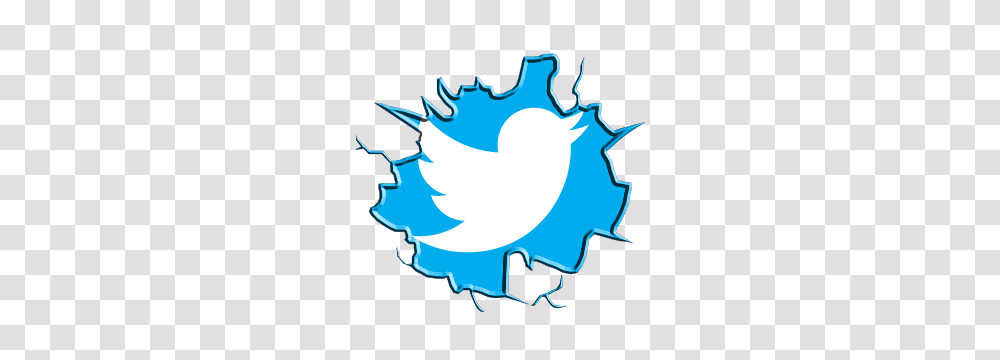 Twitter Logo Transparent Png