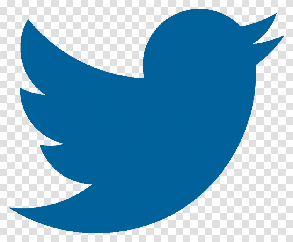 Twitter Logo Grey No Background Cartoons Twitter Logo Grey No Background Transparent Png