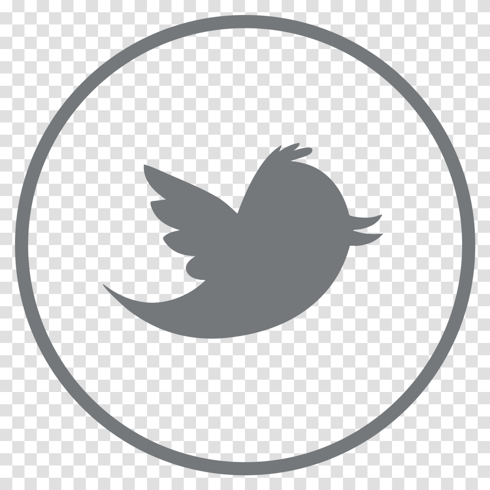 Twitter Logo Hd, Trademark, Silhouette, Bird Transparent Png