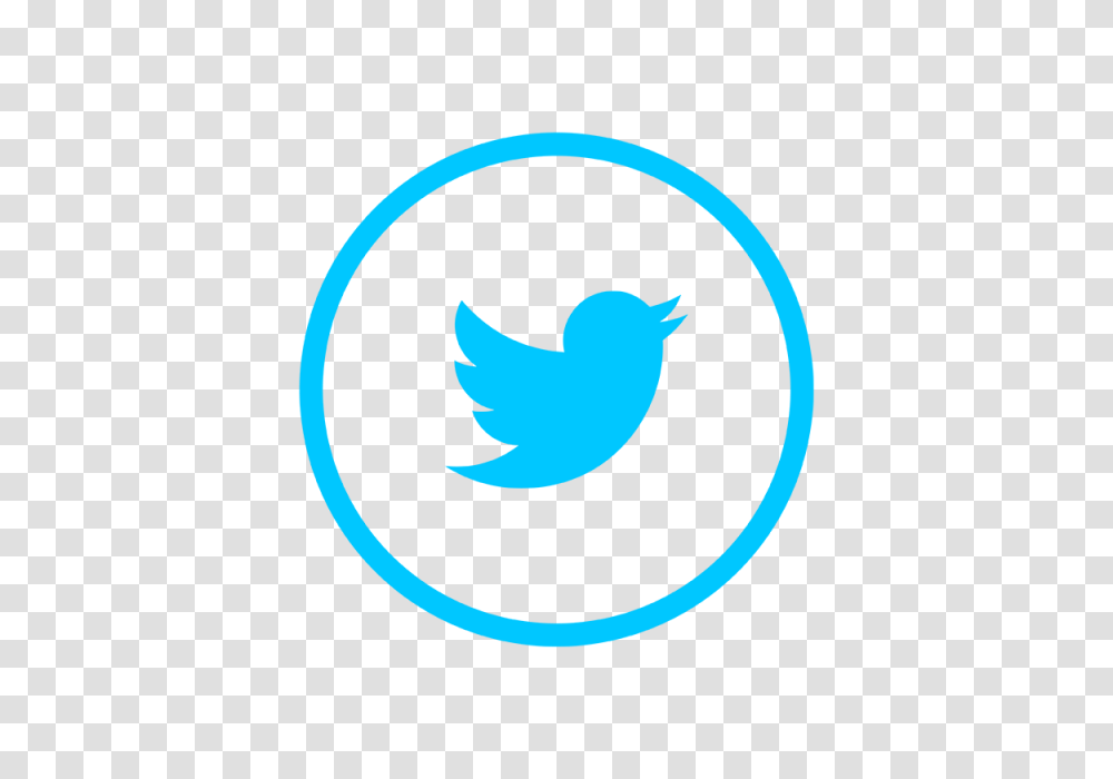 Twitter Logo Icon Social Media Icon And Vector For Free, Trademark, Bird, Animal Transparent Png